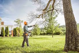 Trusted Mcsherrystown, PA Tree Care Experts